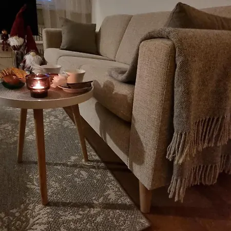 アパート Cozy In The Center Of ロヴァニエミ